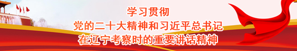 学习贯彻党的二十大精神和习近平总书记在辽宁考察时的重要讲话精神